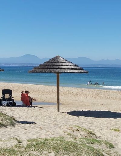 thatched umbrellas on a sandy beach
