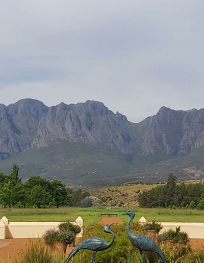 water feature with two blue cranes and a scenic mountain backdrop