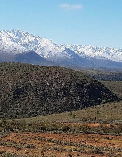 the swartberg range covered in snow